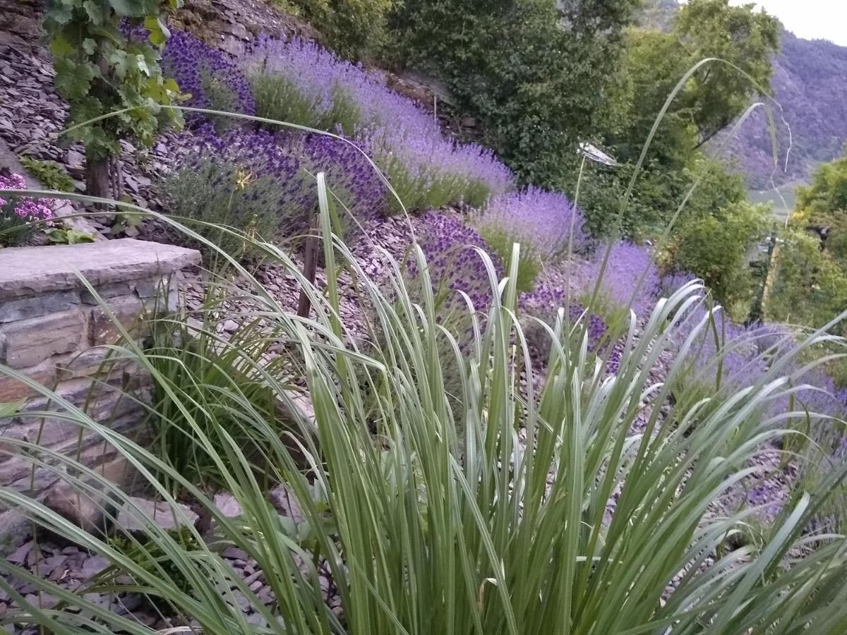 Ferienwohnung Lavendel Cochem Esterno foto